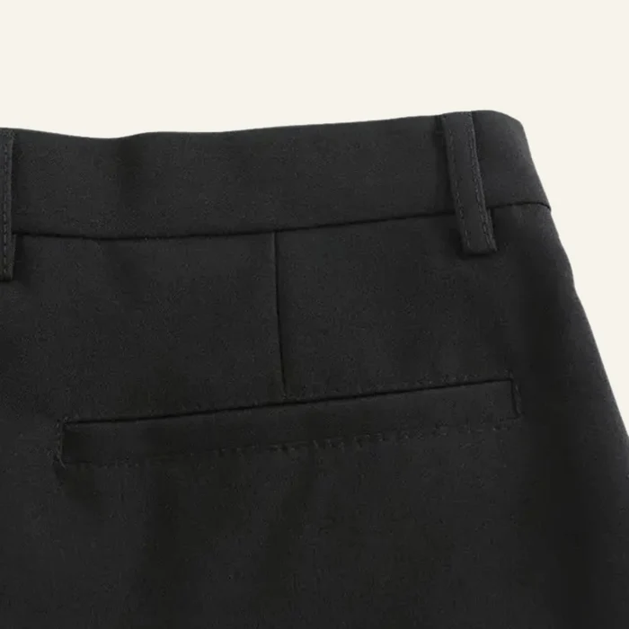 Darvon Slim Old Money Wrinkle-Free Trousers